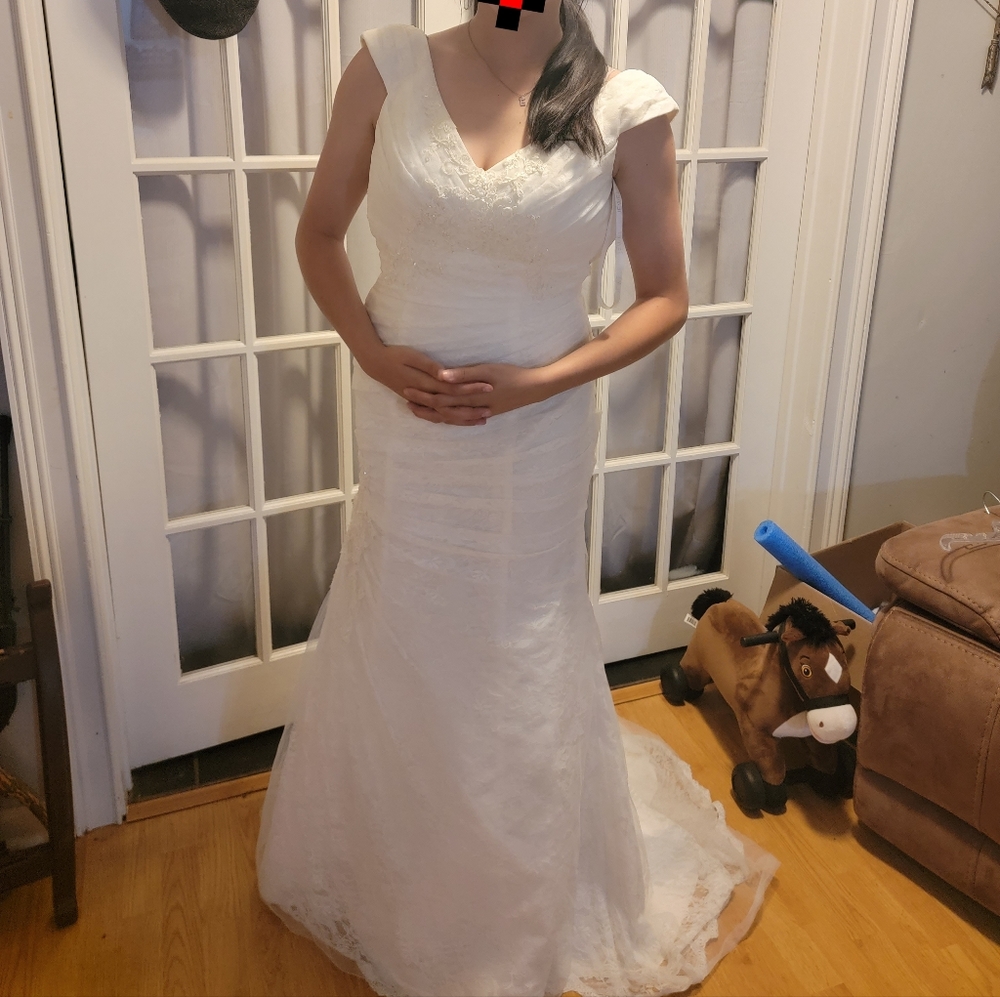 David's Bridal Wedding Dress